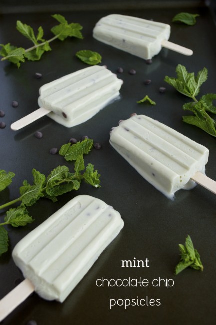 Mint Chocolate Chip Popsicles | Plaid and Paleo