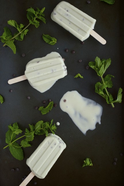 Mint Chocolate Chip Popsicles | Plaid and Paleo